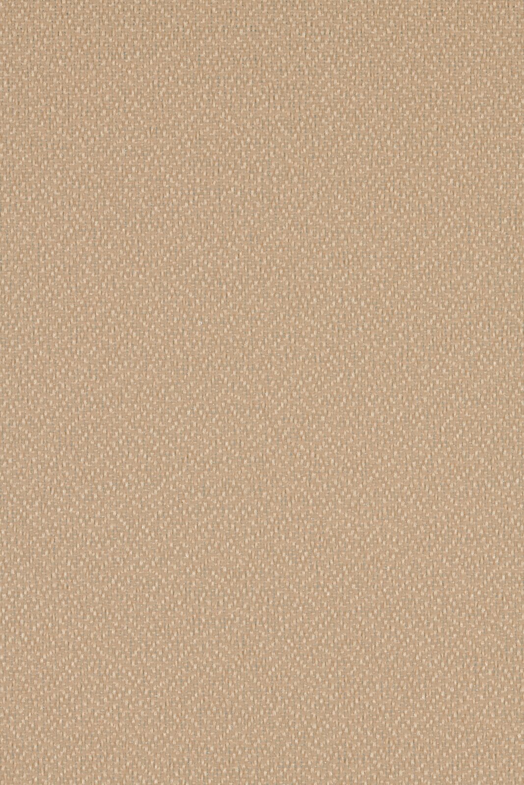 セレッソ 大阪 ユニフォーム ジュニア